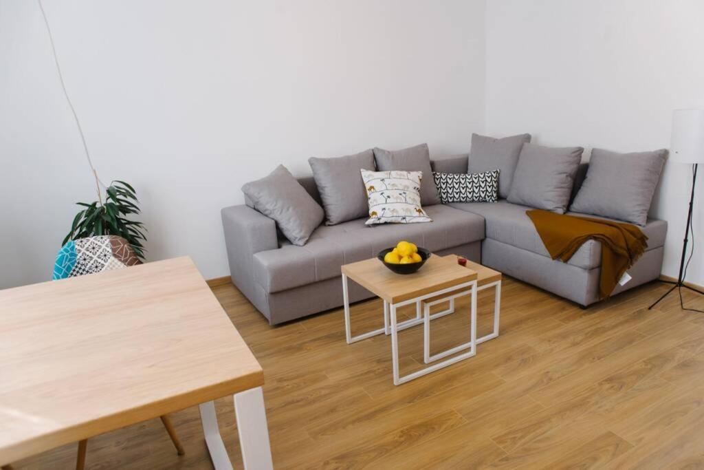 Millennium Bridge Cozy Apartment Top Location Podgoriçe Dış mekan fotoğraf